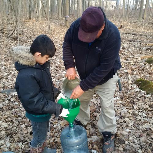 Otsi’tsaken:ra (Charlie) Patton and his grandson pour sap into a container
