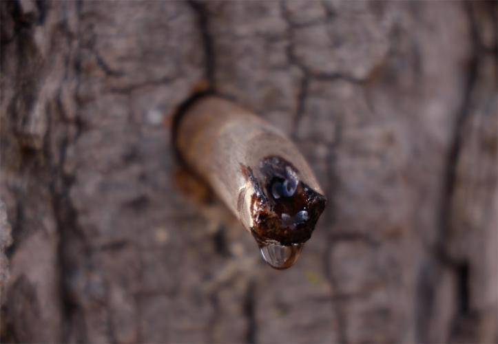 A traditional wooden tap drips clear syrup.