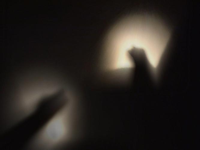 Stephen Foster, Raven Brings the Light, 2011 (installation details).