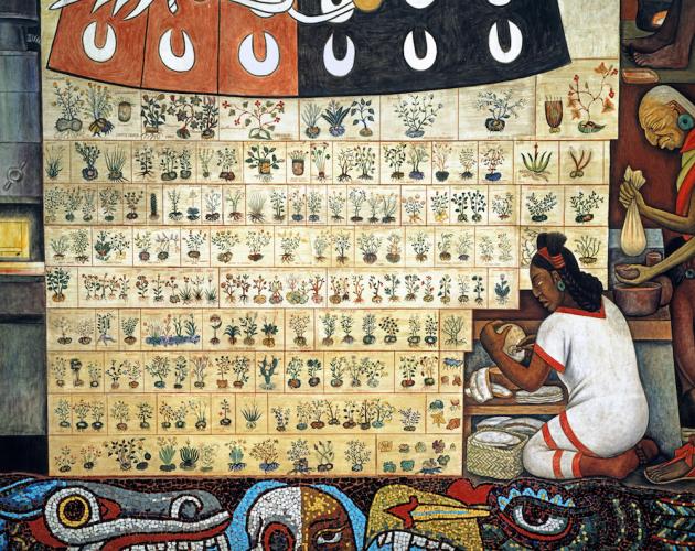 The History of Medicine in Mexico: The People’s Demand for Better Health