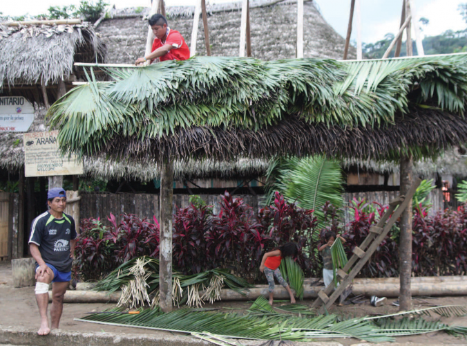 Cotococho community