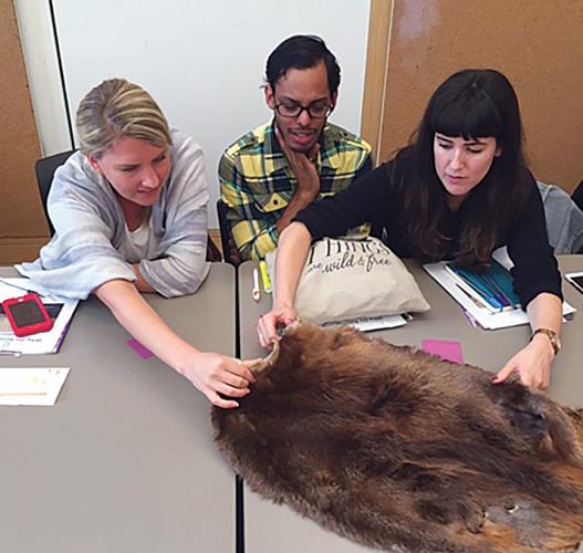 Teachers examining beaver pelt