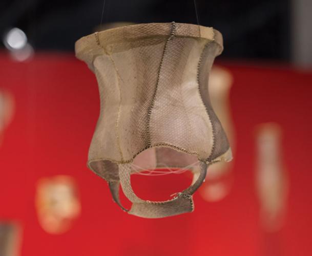 A fish-skin lantern