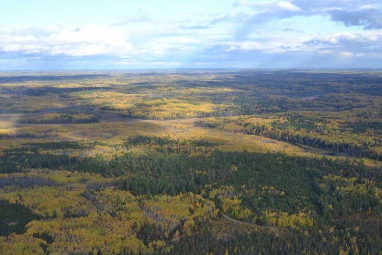 Aerial view of the wilderness surrounding Nett Lake.