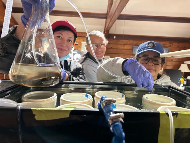 A woman holds up a beaker filled with seawater.