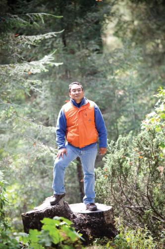 A man in an orange vest stands on a tree stump, with monarch butterflies around him