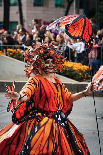 A person dressed in an orange and black monarch butterfly costume