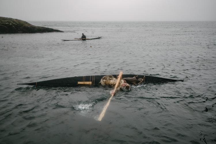 A person extends a paddle while seated in a kayak that has tipped over, in a body of water