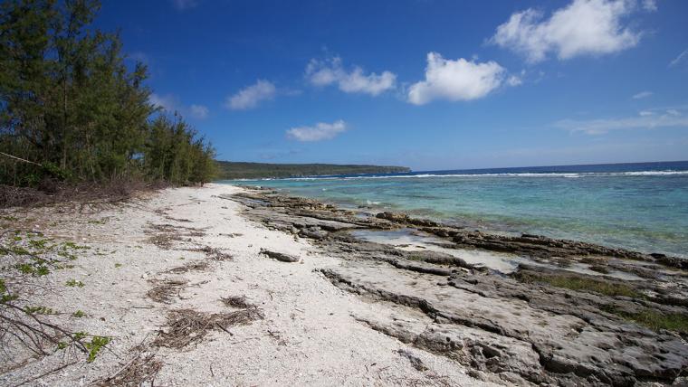 A white sand beach