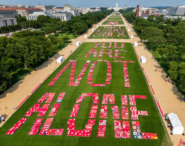 Red quilt blocks arranged on an expanse of grass spell out the words "You Are Not Alone"