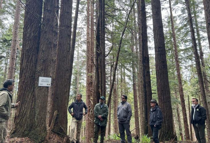 Tribal leaders and Charles Sams stand among trees in Redwood National Park.