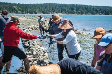 A group of people work together to reinforce a stone wall along a Pacific coastline